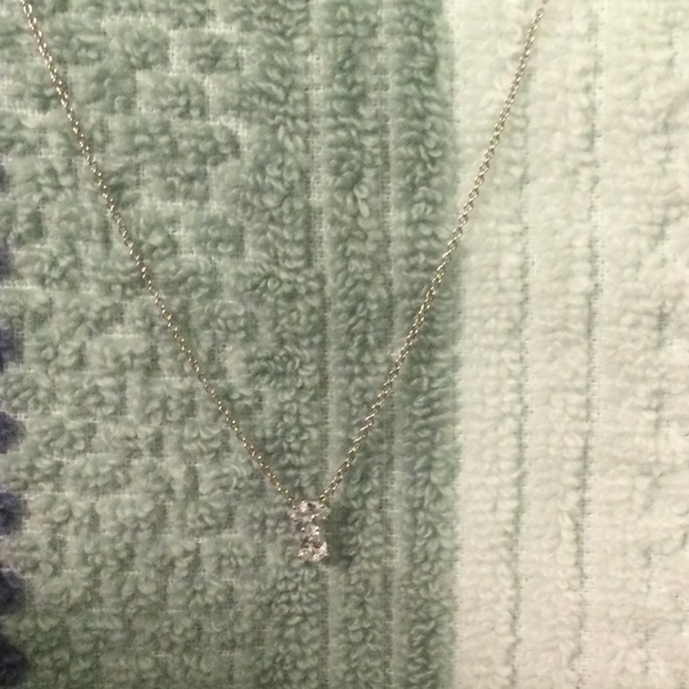 Eliot Danori Necklace